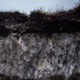 Ice wedged into the permafrost coastline of Utqiaġvik. Photo: Ash Adams/Gizmodo